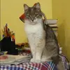 Отзыв от Александра Озерова